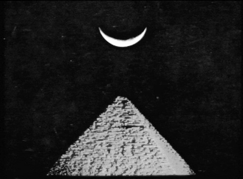 tumblr_mg5scaMaAY1rlhbfao1_500