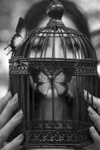 9c290ad71848117fe55d5bcc90123cc0