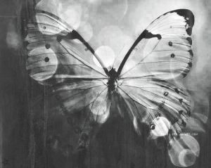 d16c518657877b48d3a54b63f3bb5b75--gypsy-soul-butterfly-kisses